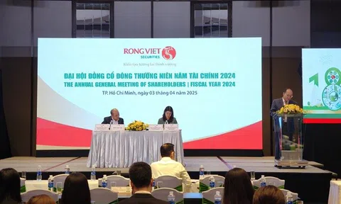 ĐHĐCĐ 2025: Chứng khoán Rồng Việt (VDS) đặt mục tiêu lãi sau thuế 294 tỷ đồng, lên kế hoạch tăng vốn lên 3.200 tỷ