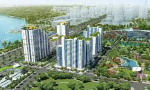 Chân dung Công ty TNHH Xây dựng Thương mại Thuận Việt: Từ chủ đầu tư dự án lớn đến doanh nghiệp nợ thuế hàng đầu TP.HCM